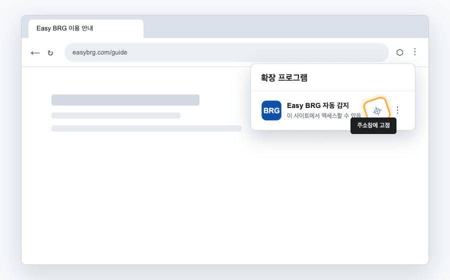 Chrome 확장 프로그램 메뉴의 Easy BRG 압정 버튼